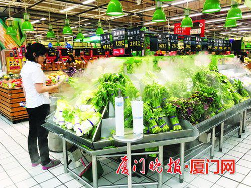 -我市部分水叶菜品种价格小幅上涨。