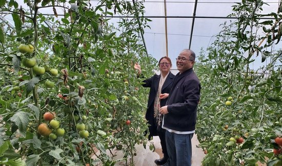 农行宁夏分行为马雅玲等致富带头人量身定制“专业大户贷”等专属金融产品。