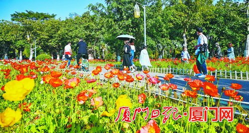 ▲湖里区努力让“清新的蓝”“怡人的绿”成为湖里居民恒久的绿色福利,图为风景宜人的五缘湾湿地公园。