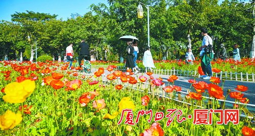 湖里深入实施污染防治攻坚战,持续提升生态文明建设水平