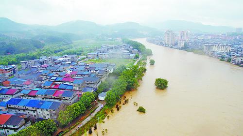 暴雨使武夷山市区河水暴涨。新华社发