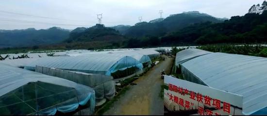 靖城镇人口_漳州南靖县靖城镇 一个平原大镇的生态蝶变