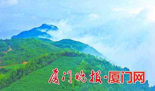 -厦门成片的山林。晚报拍客方志秋摄