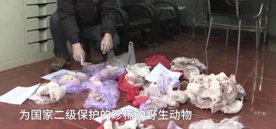 明溪检察:对三起捕鸟案人员提起的刑事附带民事公益诉讼案宣判