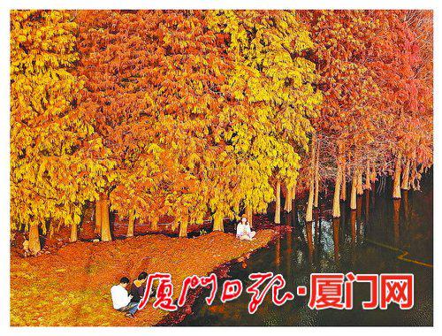 园博苑内,游客在阳光下欣赏美景。