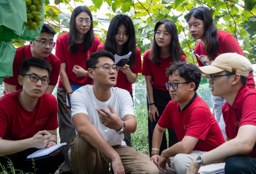 中国人民大学博士生服务团成员在龙晶葡萄采摘园深入了解农业发展情况
