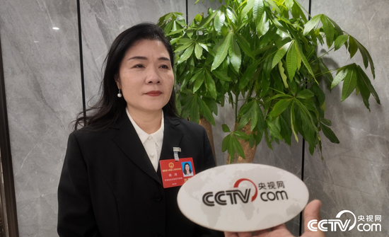 福建省人大代表、平潭麒麟小学校长杨鸿接受央视网记者的专访。