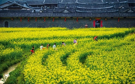 图:赖泽樟摄