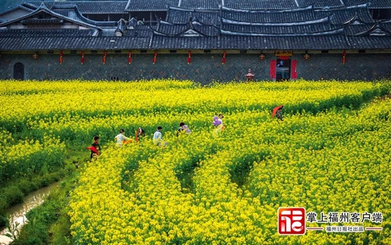 仁和庄（赖泽樟 摄）