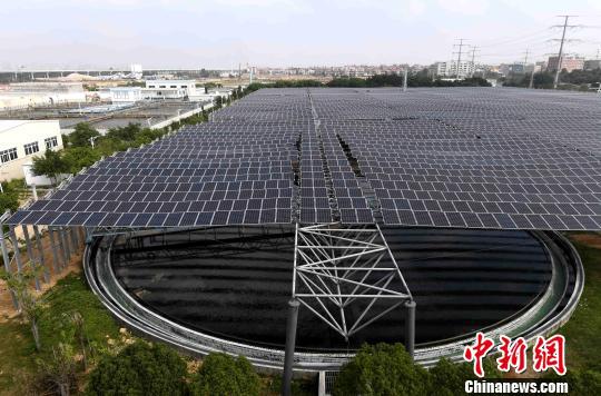 太阳阶梯石狮：污水厂架设万余太阳能电池板如“黑浪”