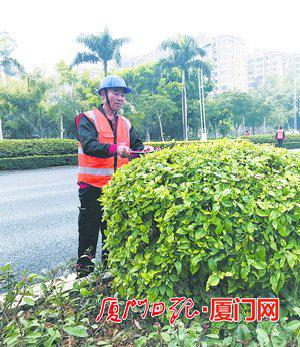 罗太友修剪树木。(本报记者林施赟摄)