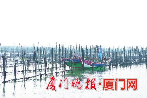 琼头村人口_迳头镇各村人口