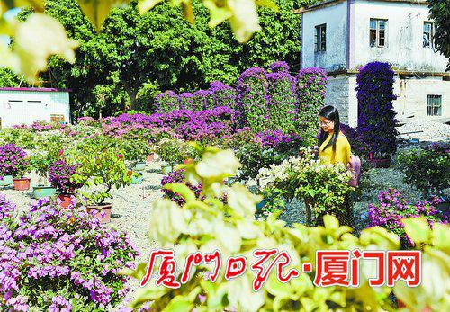 厦门:同安将全面推动乡村振兴战略 实现农民增