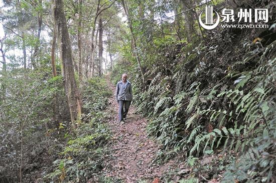 老张几乎每天都要走10公里的山路巡山
