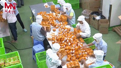 天福茶食品生产线
