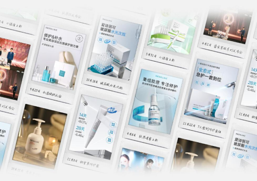 2024年爱诗丽可上市的产品