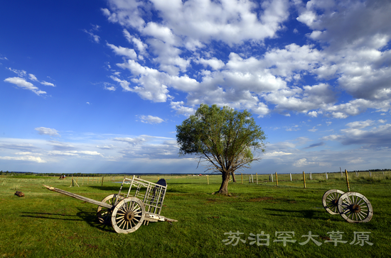 苏泊罕大草原