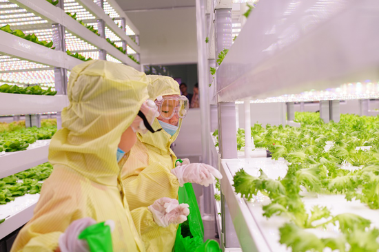 植物梦工厂里的未来科学家