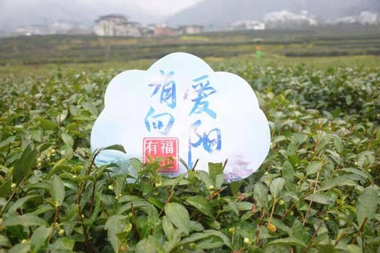 建行福建省分行联合新浪福建、新浪陕西开展”有福相‘建’,有爱向阳“主题活动,助力陕西安康紫阳县的发展