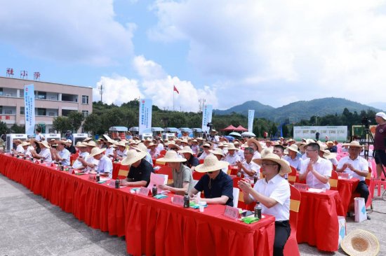 2023年安溪县农民丰收节 暨龙门茭白生活节隆重举办