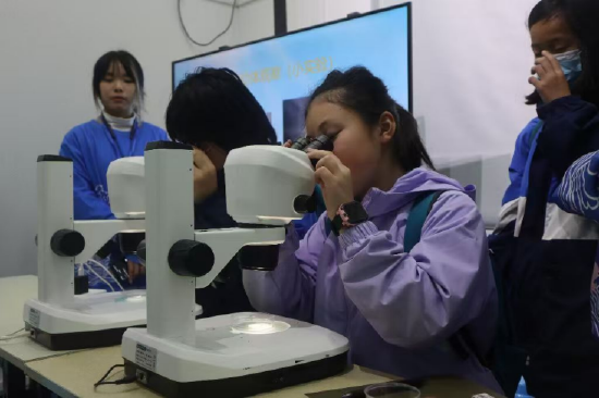 同学们在副主讲龙瑷嫄指导下用显微镜观察丰年虾幼体