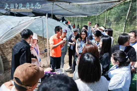 采访团在仙芝楼种植基地采访灵芝产业带动乡村振兴