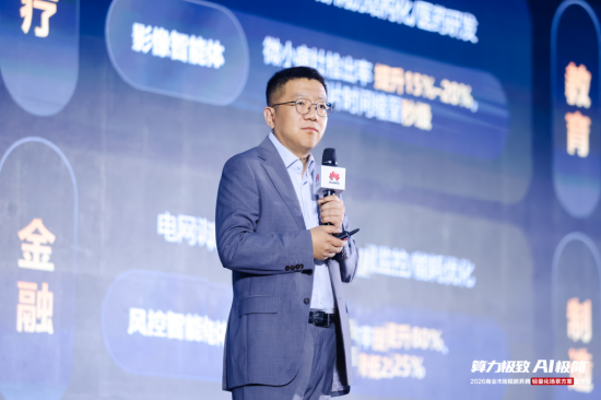 华为中国政企商业MKT与解决方案销售部部长 陈嘉琪