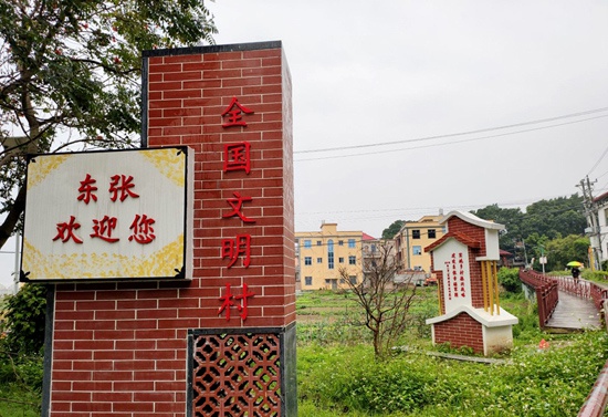 全国文明村东张村的一角。