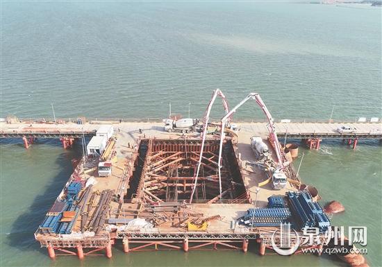 近日,在位于泉港区界山镇狮东村海域的福厦客专4标段湄洲湾跨海大桥现场,一派繁忙景象。随着最后一车混凝土的浇筑,该标段的大桥跨越主航道斜拉索连续梁310#主墩承台混凝土浇筑完成。 (林弘梫 林礼贤 摄)