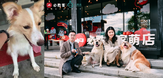 左图:流浪的欢欢刚到家的样子;右图:活动现场欢欢一家合照