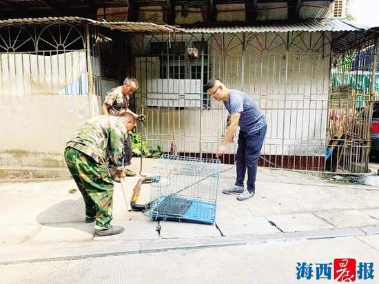 商铺门前是“鸽子锁”的重灾区。此外,废弃的狗笼也成为占位的道具。