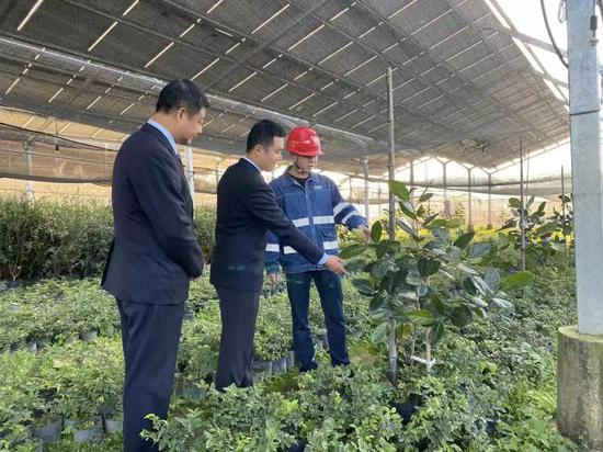 建行工作人员走访交流漳浦光伏农业项目情况。