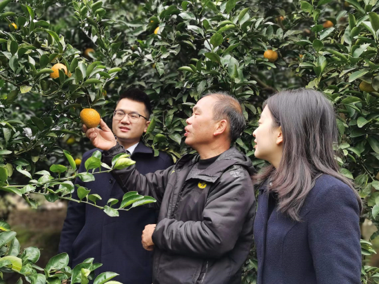 建行客户经理走访农户，了解需求。