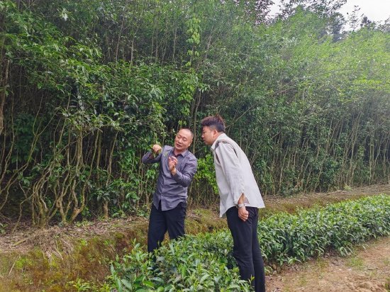 现场讲解