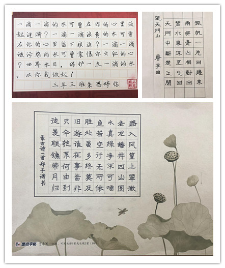 世界水日学生书法作品 图片来源（麦顶小学金源浦下分校）