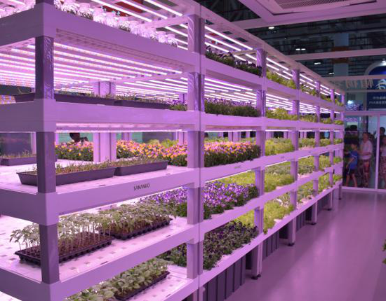 获得2019年红点产品设计奖的中科三安植物种植模组