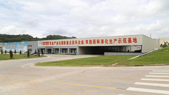 图为同发食品“双孢蘑菇”标准化生产示范基地