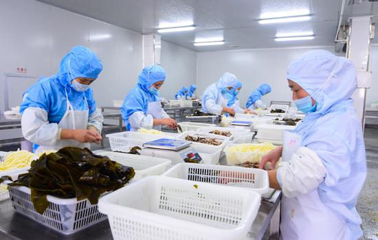 在企业的加工车间内,工人用清洗切片的海带包裹鱼肉,加工做成海带卷。 蒋巧玲 摄