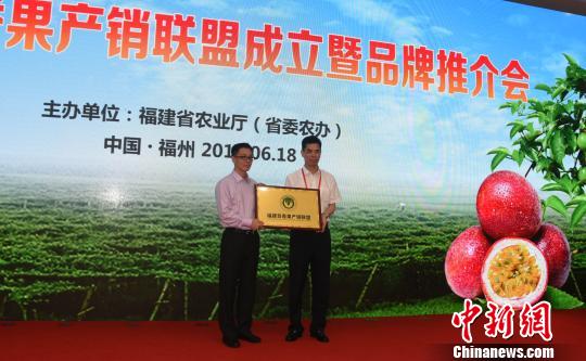 福建省农业厅厅长黄华康为福建百香果产销联盟授牌。 刘文标 摄