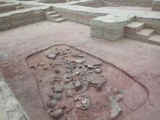 国际南岛语族考古研究基地在平潭正式挂牌成立_新浪福建_新浪网