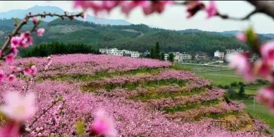 图片来源:三明旅游