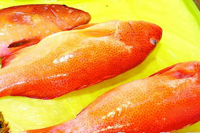 厦门网红八市上演海鲜大片