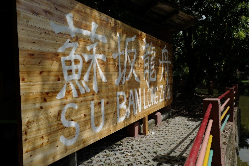 苏坂龙舟厝的艺术乡建改造后