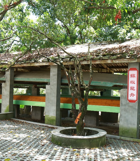 枯木逢春改造前后对比