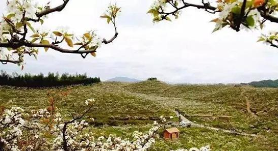 图片来源:三明旅游