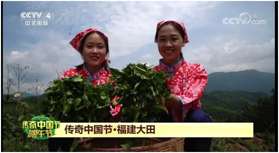 “美人”如玉，茶香袭人，连央视都赶来了！开茶节盛况在央视CCTV4中文国际频道《传奇中国节·端午》中闪耀直播！