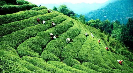 武夷山