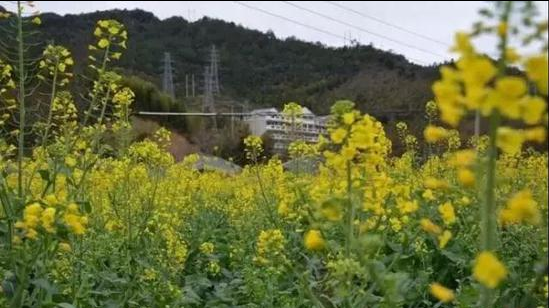 图片来源:泉州市旅游局