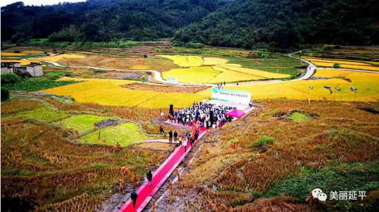 开幕式现场