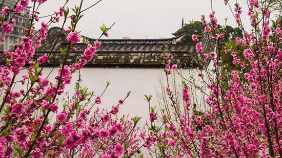 图片来源:福州新闻网